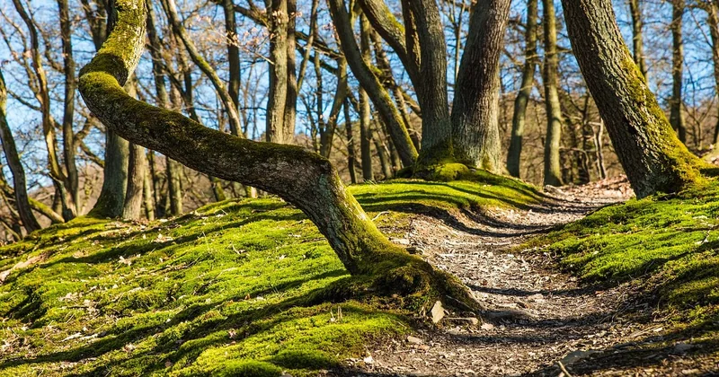 Accès aux réserves naturelles : ce qu'on ne vous dit pas toujours