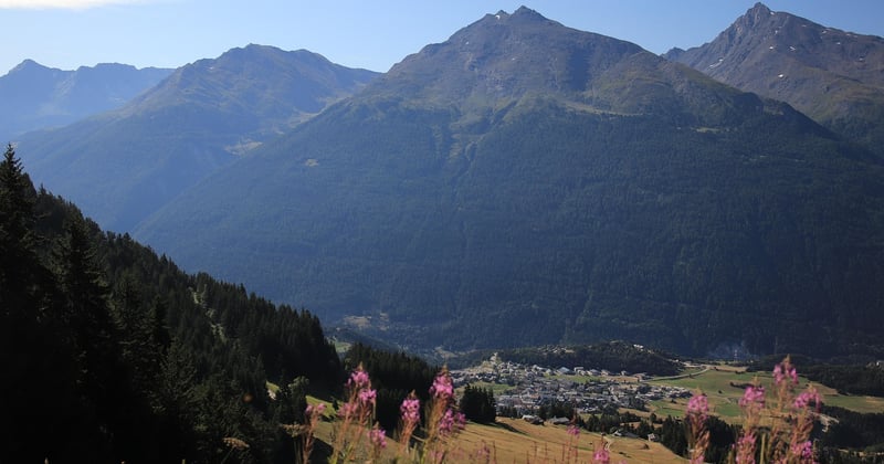 Découvrir les réserves naturelles protégées en France : notre guide des trésors sauvages